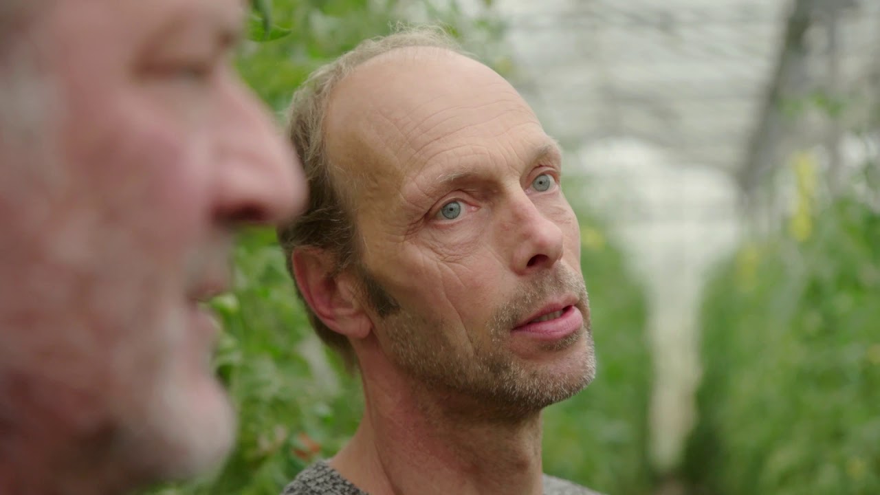 Jochum de Boer op het erf van zijn biologische tuinderij in Kimswerd