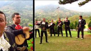 Video thumbnail of "Popurri Clasicos Bailables..Mariachi medellin Show"