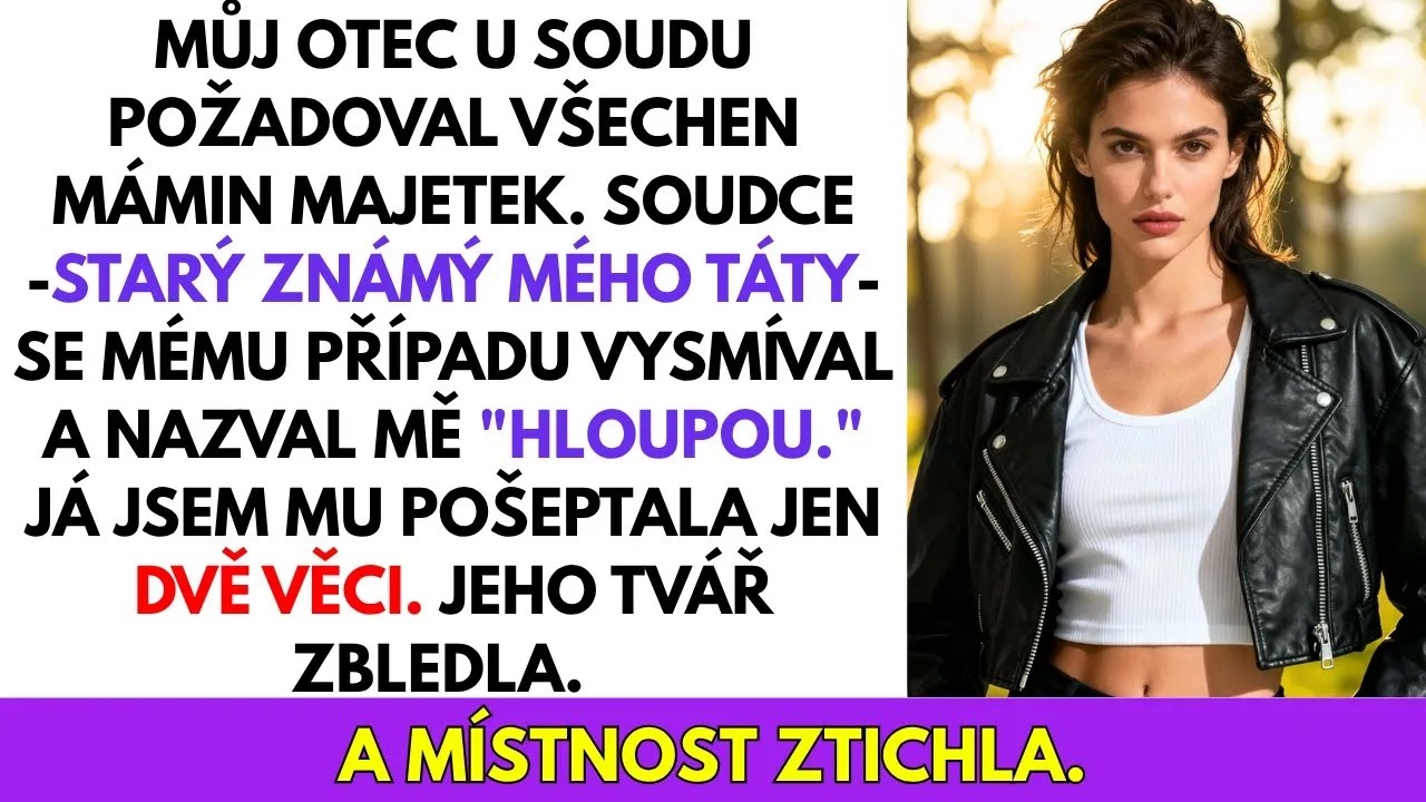 Stála jsem před soudní budovou v Brně a třásly se mi ruce, ale ne strachem. Bylo mi dvaatřicet a žalovala jsem vlastního otce. Matka vybudovala textilní podnik z ničeho, a když před třemi lety...
