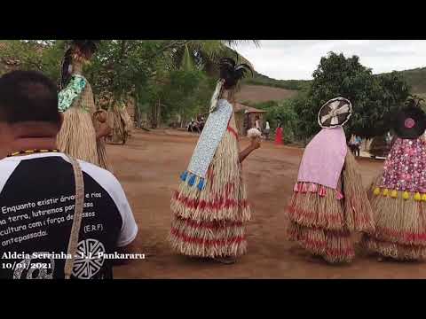 Vídeo: A Façanha Dos Meninos Da Aldeia Steblevo - Visão Alternativa