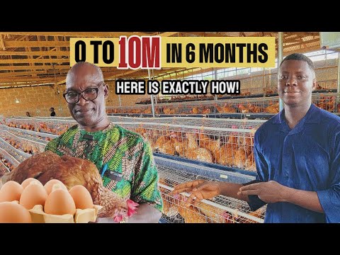 How This Nigerian Farmer Became a Millionaire with Poultry & Crop Farming!