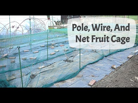 How To Make A Fruit Cage