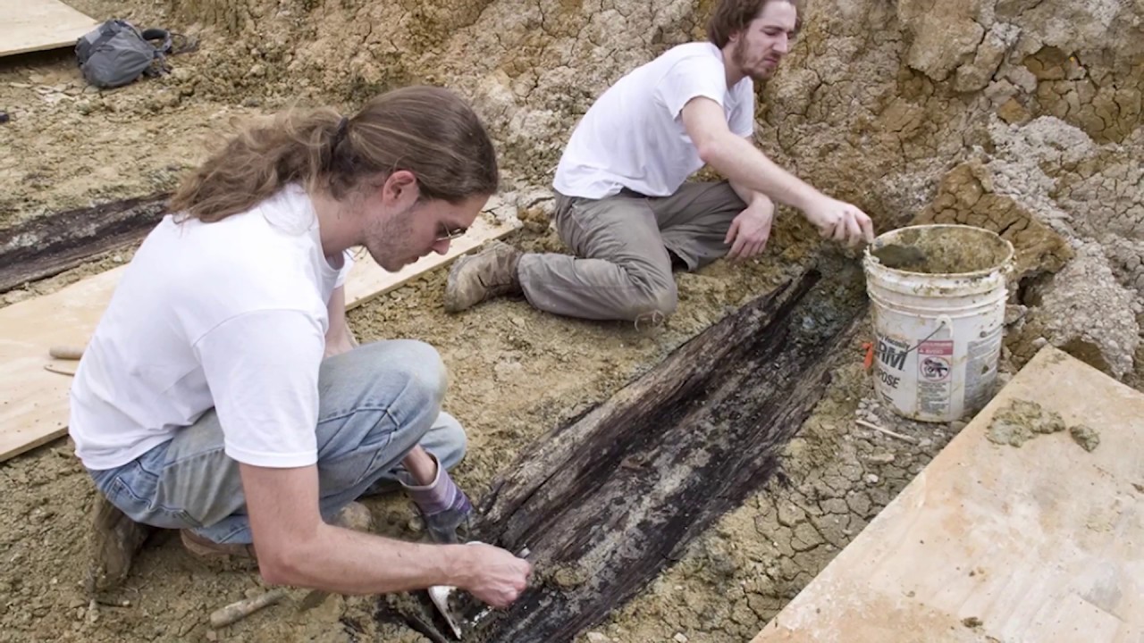 7,000 Bodies Found Under University Campus