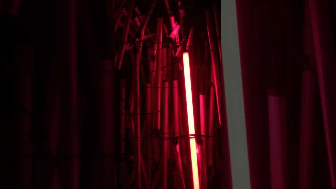 A multisensory light art installation inspired by Joseph Conrad's Heart of Darkness