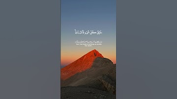 محمد حذيفة | سورة الأنعام | الآية 101-103