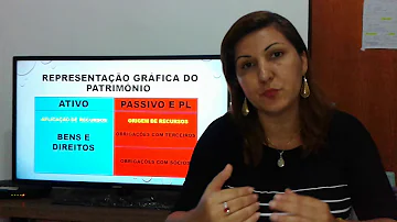 Quais são os patrimônio líquido?