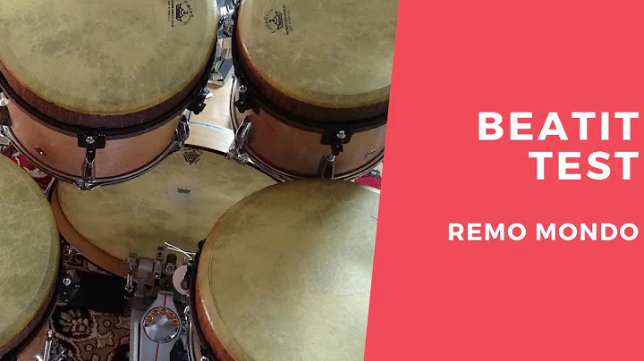 Vintage Test BeatIt: Remo Mondo drum kit