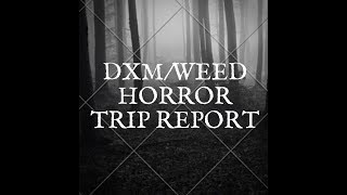 trip report 4th Plateau Daily DXM Use
