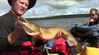 Lessons From the Trail, Ep. 3: How to Clean a Pike