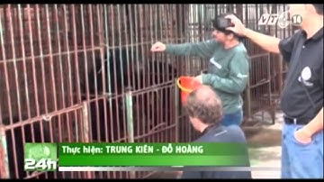 VTC14_Quảng Ninh: vẫn còn 17 cá thể gấu chưa được đưa về trung tâm cứu hộ