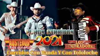 Los Austeros de Durango Y Los Sembradores De La Sierra || Corridos Con Tololoche Con Banda Mix 2021