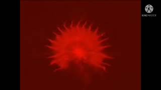 Columbia Pictures Logo 1976 In G Major Reversed