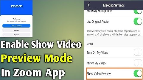 How to enable show video preview mode in zoom app.