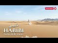 HABIBI 🔥 Arabic Dance Mix 2026 | Desert Belly Dance Vibes (No Copyright Music)