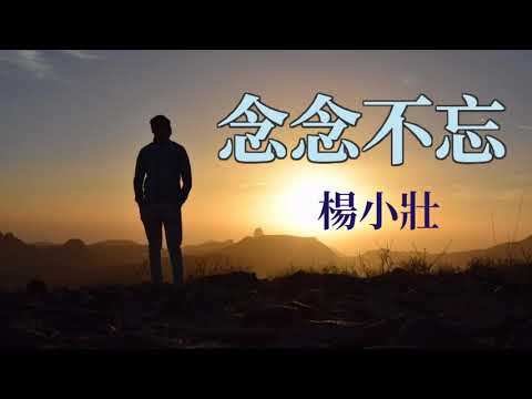 🎶🎶 念念不忘 🎶🎶  演唱：楊小壯