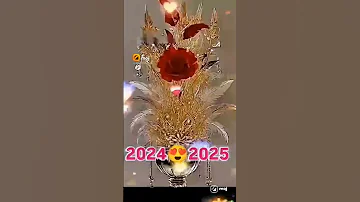 2524 