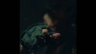 Aries - CRACK IN THE GLASS [snippet remake]