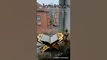 سورة الحجرات - سعد الغامدي