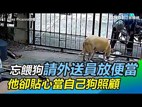 忘餵狗請外送員放便當　他卻貼心當自己狗照顧｜三立新聞網 SETN.com