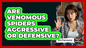 Are Venomous Spiders Aggressive Or Defensive? - Insects and Invaders