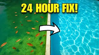 How to Clear a Green Pool Fast — 24 Hour Fix (Exact Order)