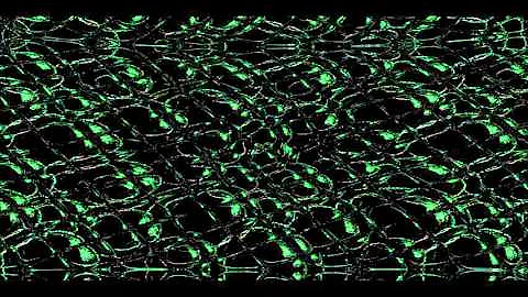 Realm   Full Version