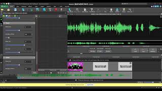 How to make Pickled fish lips effect on videopad editor