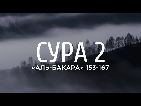 Video: Mohammed Al Amoudin nettoarvo: Wiki, naimisissa, perhe, häät, palkka, sisarukset