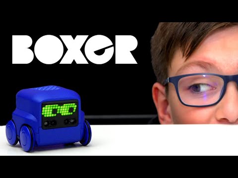 Vidéo: Qu'est-ce que Boxer le robot ?