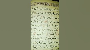 تلاوه ما تيسر من سوره يونس بصوت الشيخ ماهر المعيقلي