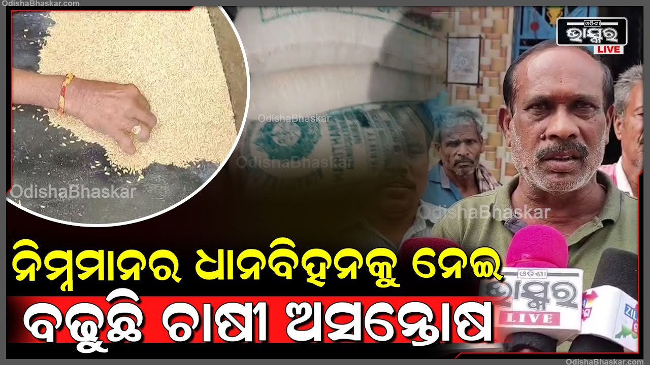 ନିମ୍ନମାନର ଧାନବିହନ ପ୍ରଦାନ କରାଯାଉଥିବାକୁ ନେଇ ଚାଷୀଙ୍କ ମଧ୍ୟରେ ଅସନ୍ତୋଷ....