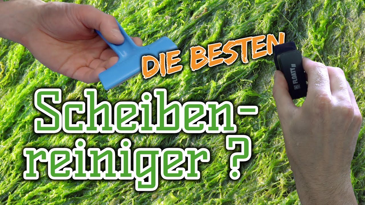 Der beste Scheibenreiniger für dein Aquarium? | Algen sicher entfernen ohne Kratzer!