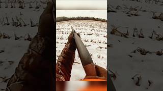 Deer Hunt  Long Range Perfect Hit #hunting #hunthowdown #deerhunt #harehunting  #huntgear #airsoft