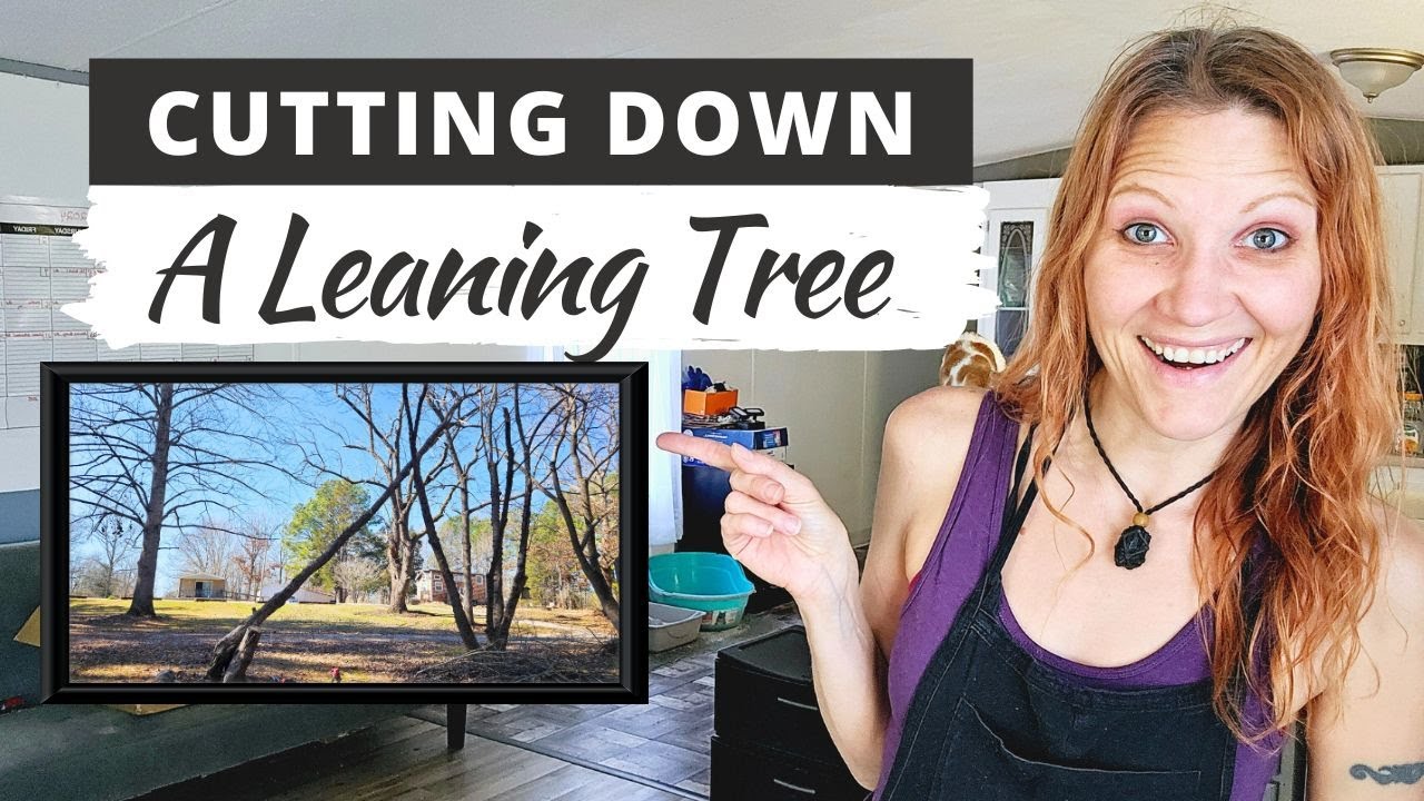 CUTTING DOWN A LEANING TREE: First Time Cutting Down A Tree! - YouTube