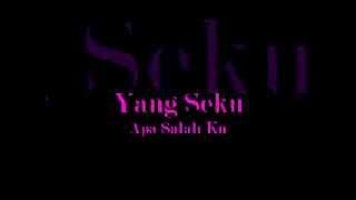 YangSeku - Apa Salah Ku(Lirik)