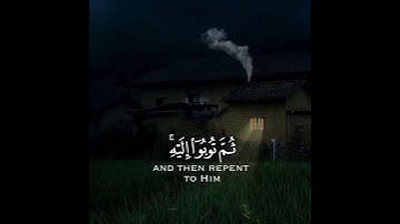 تلاوة هادئة وقصيرة || القارئ : رعد الكردي || سورة : هود 🌷💚🌷