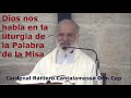 Dios nos habla en la liturgia de la Palabra de la Misa / Por Cardenal Raniero Cantalamessa Ofm Cap