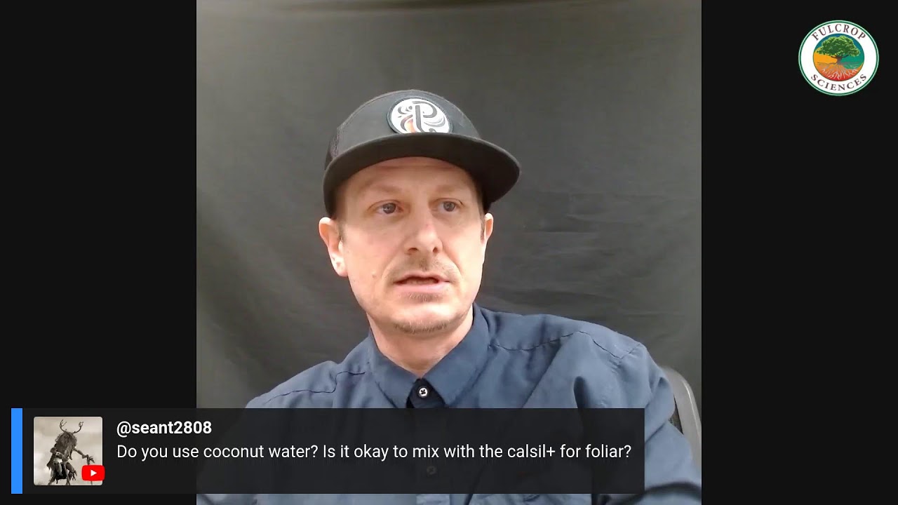 breeding projects ive Q&A