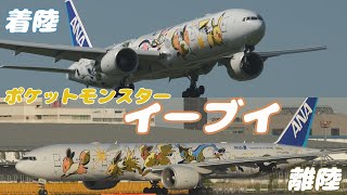 【4K】成田空港 さくらの山公園 全日空のポケモンイーブイが成田にやって来た～ サンフランシスコ⇒成田⇒シカゴ