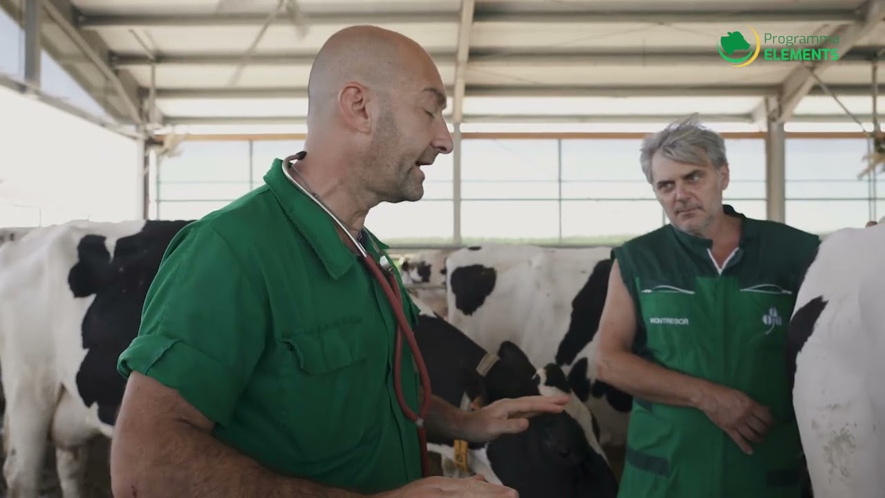 PAROLA DELL' ALLEVATORE | Alberto Ettori