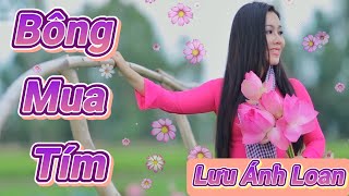 Bông Mua Tím Lưu Ánh Loan New Version Nhạc Trữ Tình Dân Ca Hay Nhất Lưu Ánh Loan