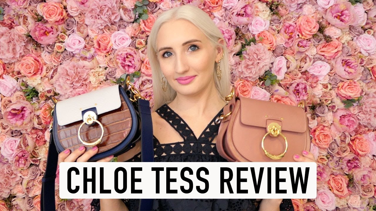 Chloe Tess Review | Size Small | What Fits Inside, Features, Mod Shots,  Pros & Cons, Buying Tips - Youtube