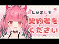 【自己紹介】ののあに契約者をください‼【新人Vtuber/初投稿】