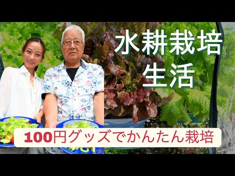 【コロナなんて怖くないレタスづくり】水耕栽培生活 （全編/音声修正バージョン）