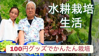 【自給自足のレタスづくり】水耕栽培生活 （全編/音声修正バージョン）