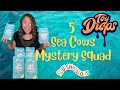 Unboxing squishmallows 5 scented sea cows mystery squad from toy drops