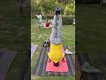 शीर्षासन #rrr #yoga