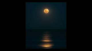 Amina Rose- Moonlight