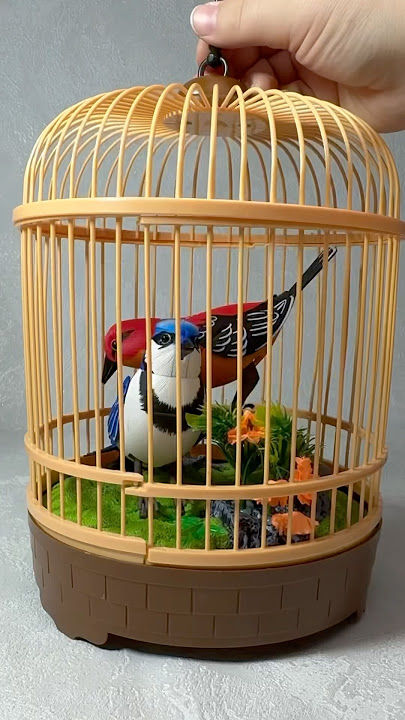 Beautiful Bird 🦜 #toys #asmr #asmrvideo #unboxing #birds