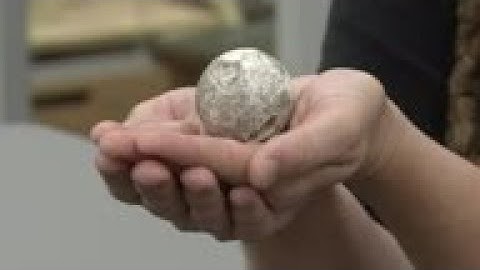 GPS-enabled decoys expose illegal sea turtle egg trade